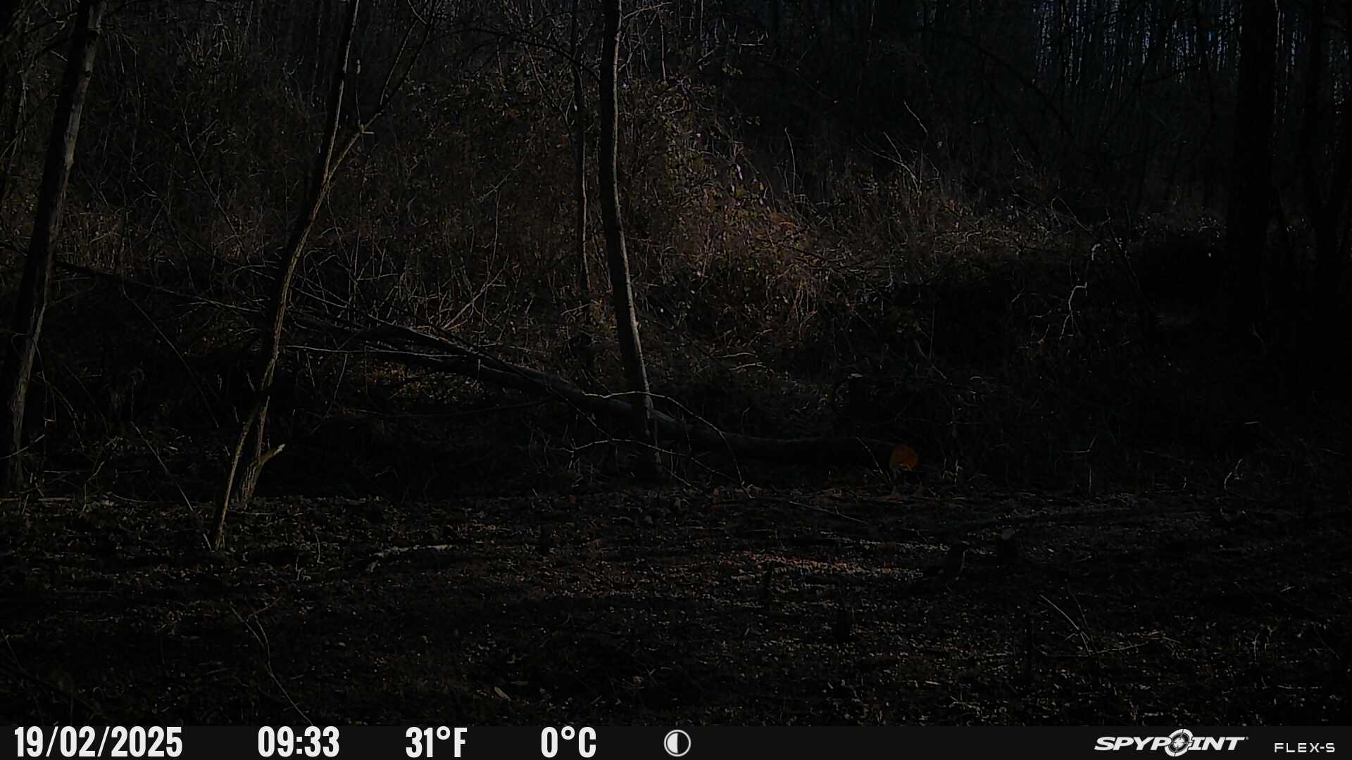 Photos