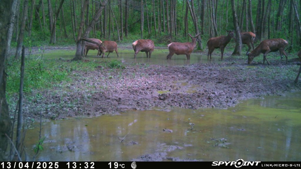Photos