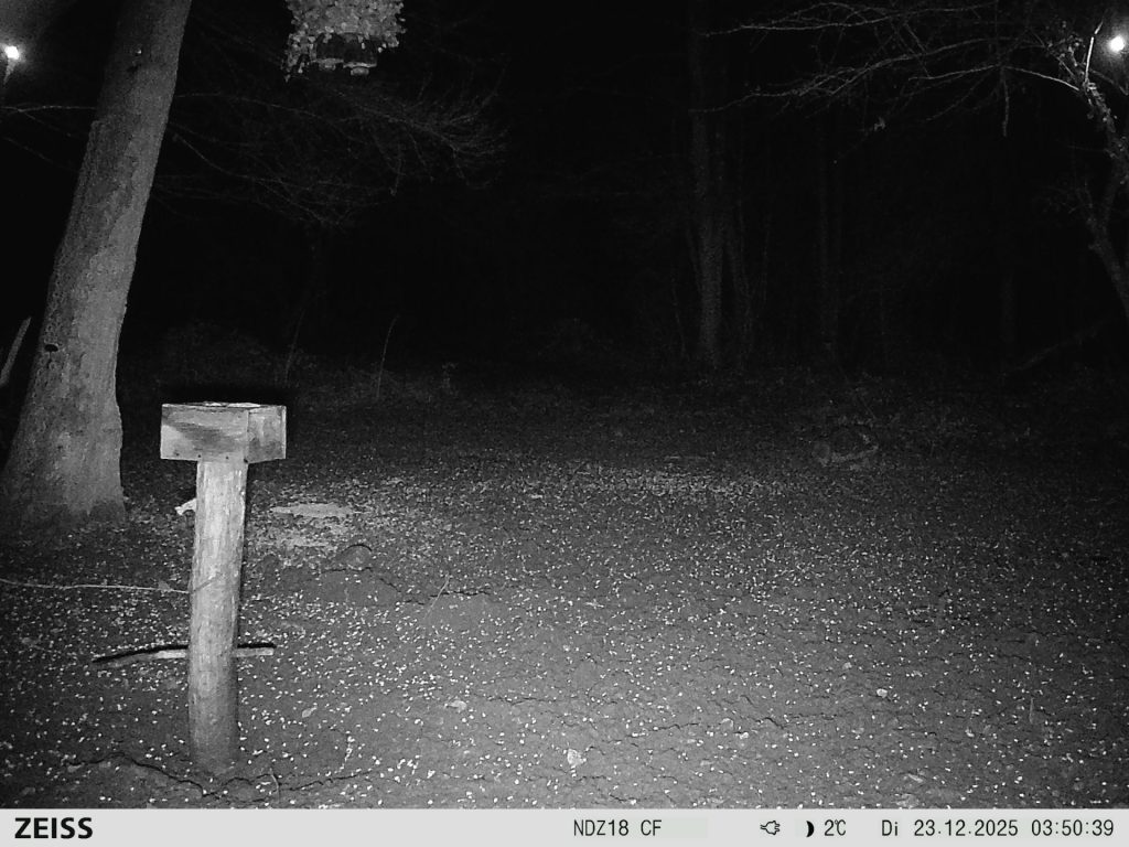 Photos