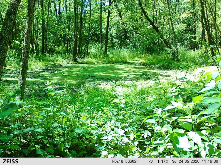 Photos